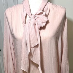 Gorgeous Pink Women’s Dress Blouse